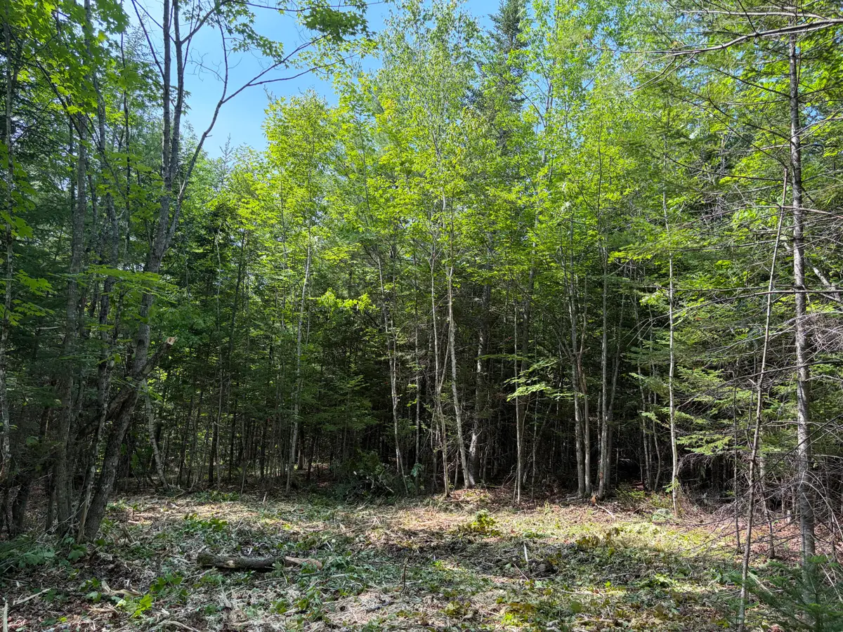 Lot 5 Holley Road, Farmington, ME 04938 - #1