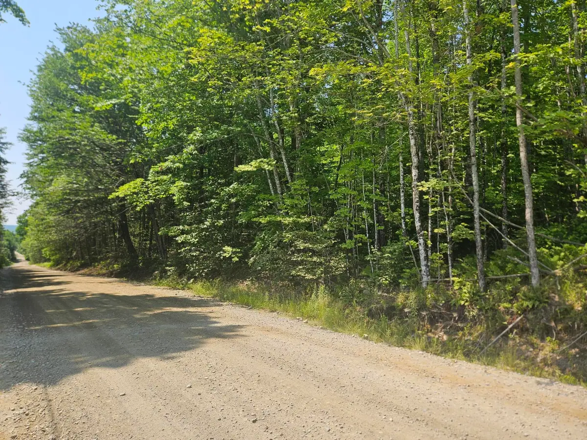 Lot 5 North Merrill Road, Harmony, ME 04942 - #1