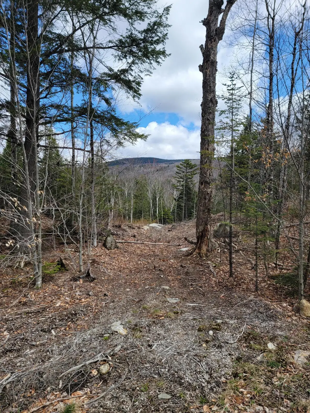 1007 Apres Way, Carrabassett Valley, ME 04947 - #1