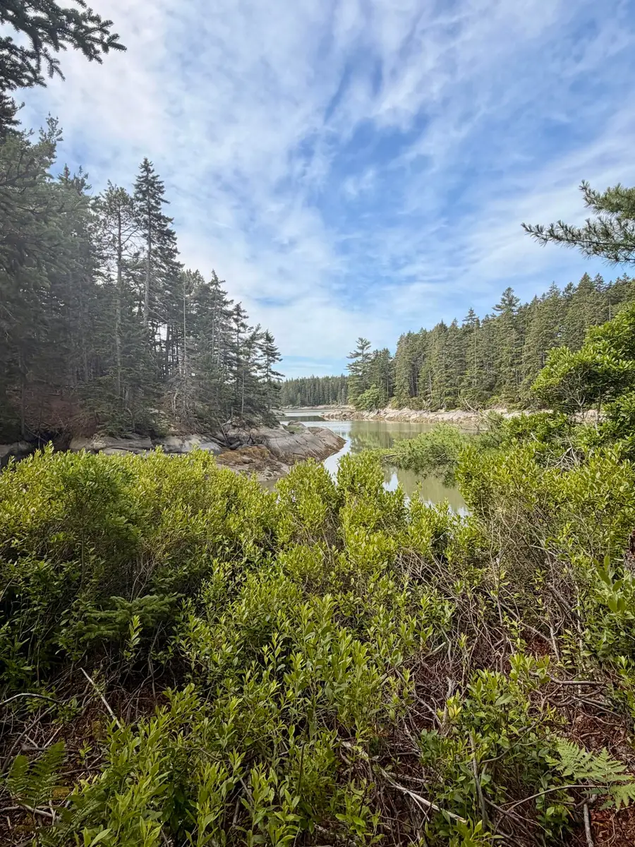 0 Young Road, Vinalhaven, ME 04863 - #3