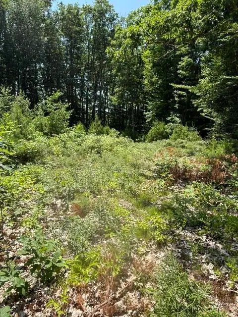 215 Old Orchard Road, Buxton, ME 04093 - #3