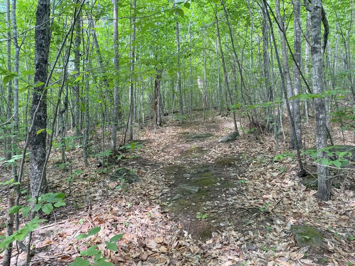 TBD Map Fr 028 Plan 01 Lot 19, South Franklin, ME 04294 - #1