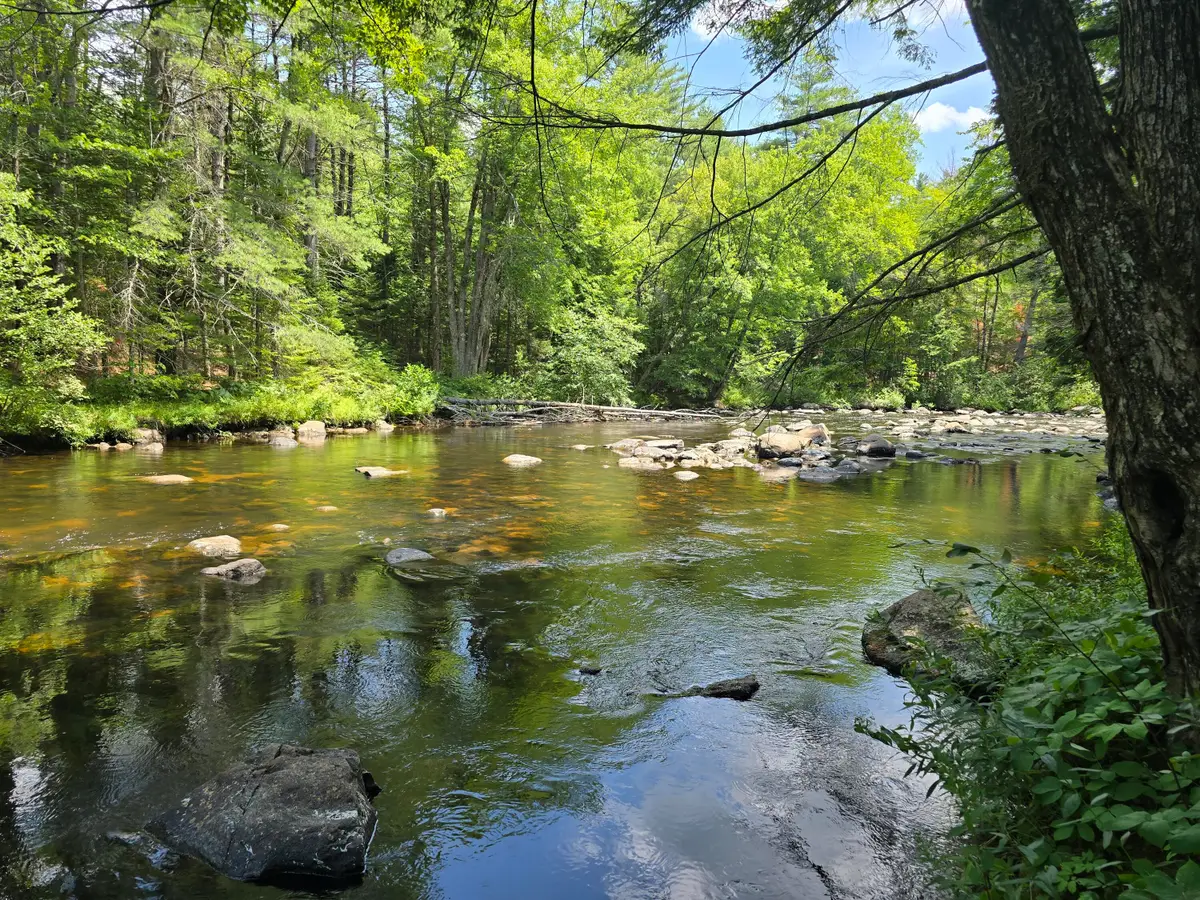 15 Stan's Road, Harrison, ME 04040 - #1
