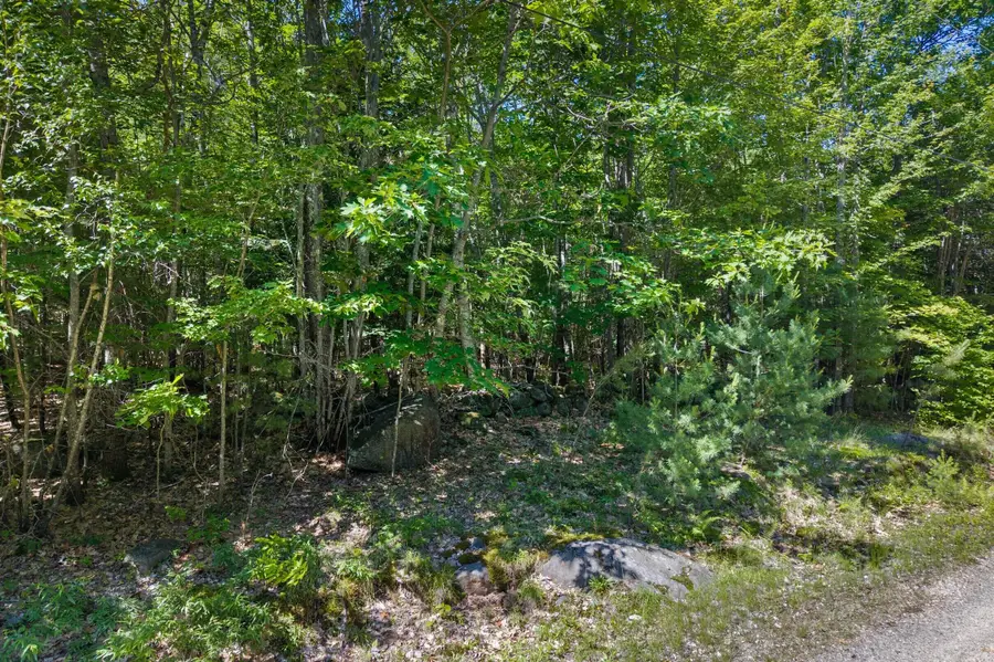 0 Hiram Hill Road, Hiram, ME 04041 - #3