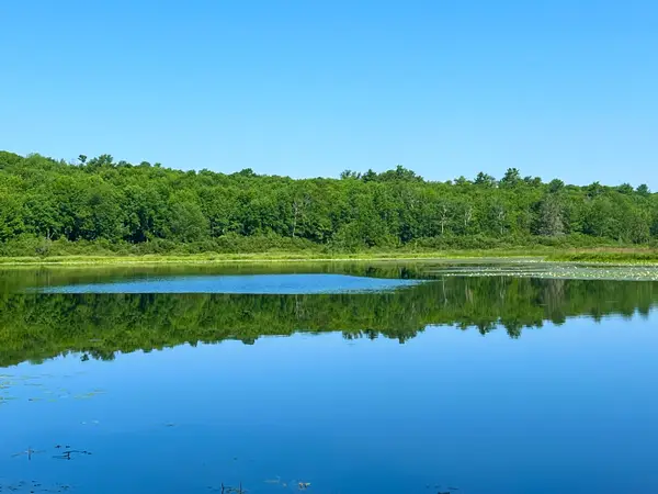 00LowerFal Lower Falls Road, Orland, ME 04472