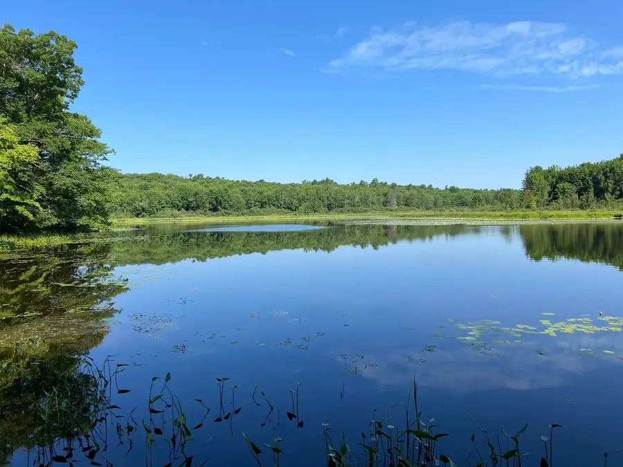 00LowerFal Lower Falls Road, Orland, ME 04472 - #3