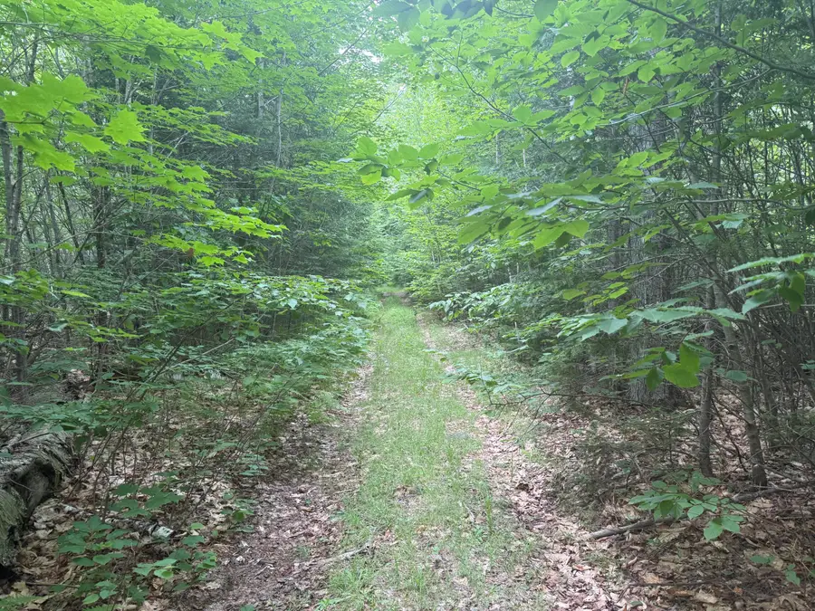 R1 L12 Hovey Road, Farmington, ME 04938 - #3