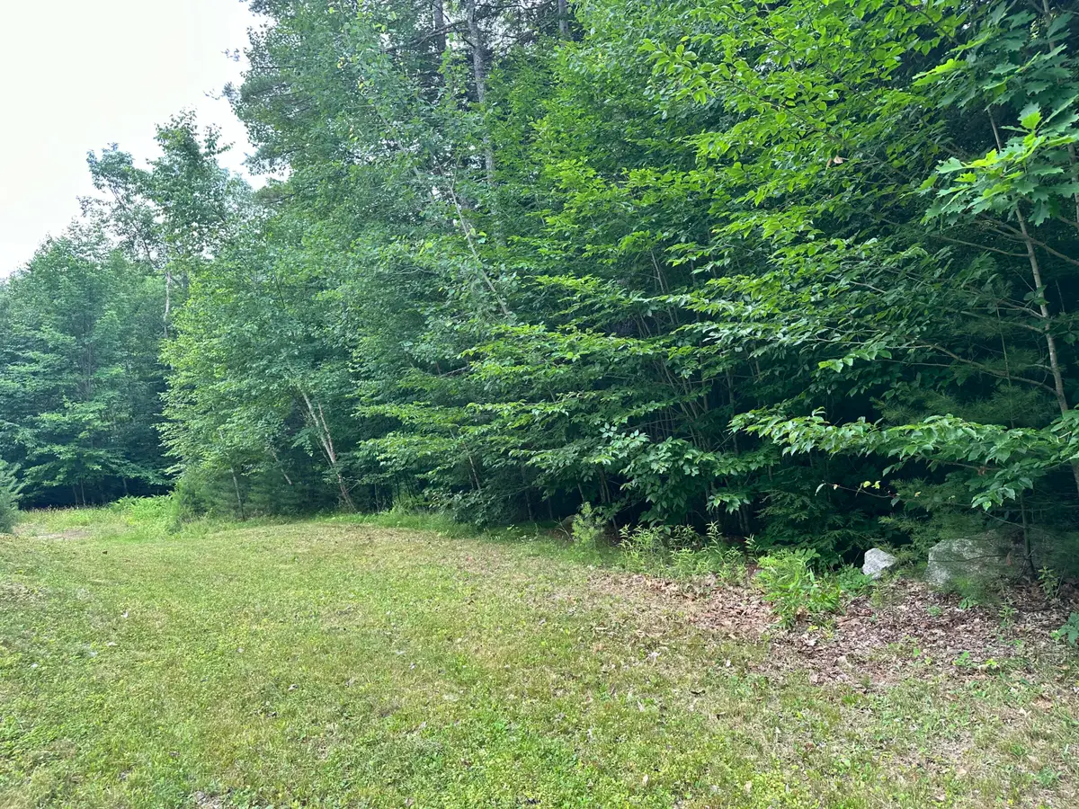 M005L114 Sodom Road, Norway, ME 04268 - #1