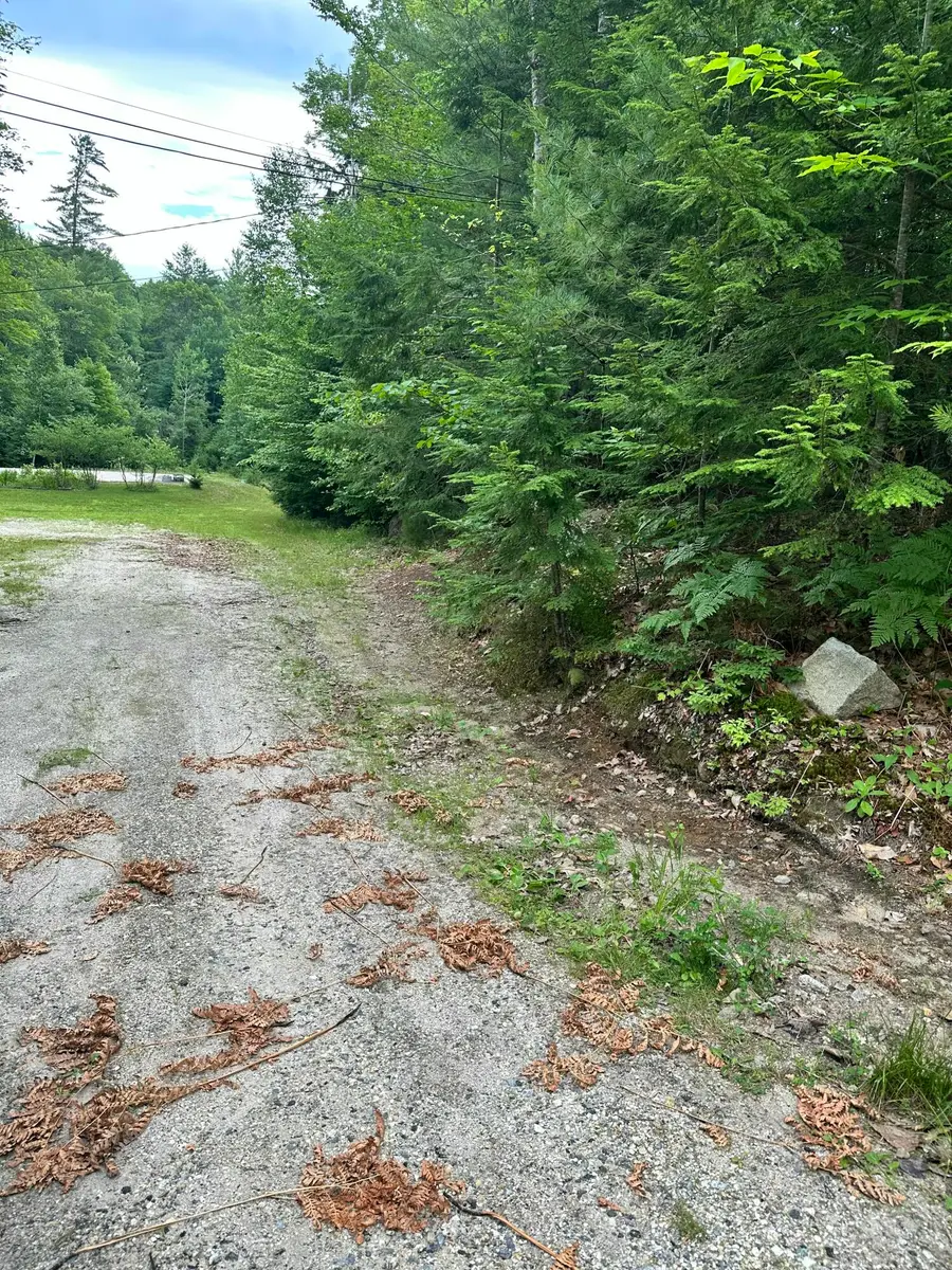 M005L114 Sodom Road, Norway, ME 04268 - #3