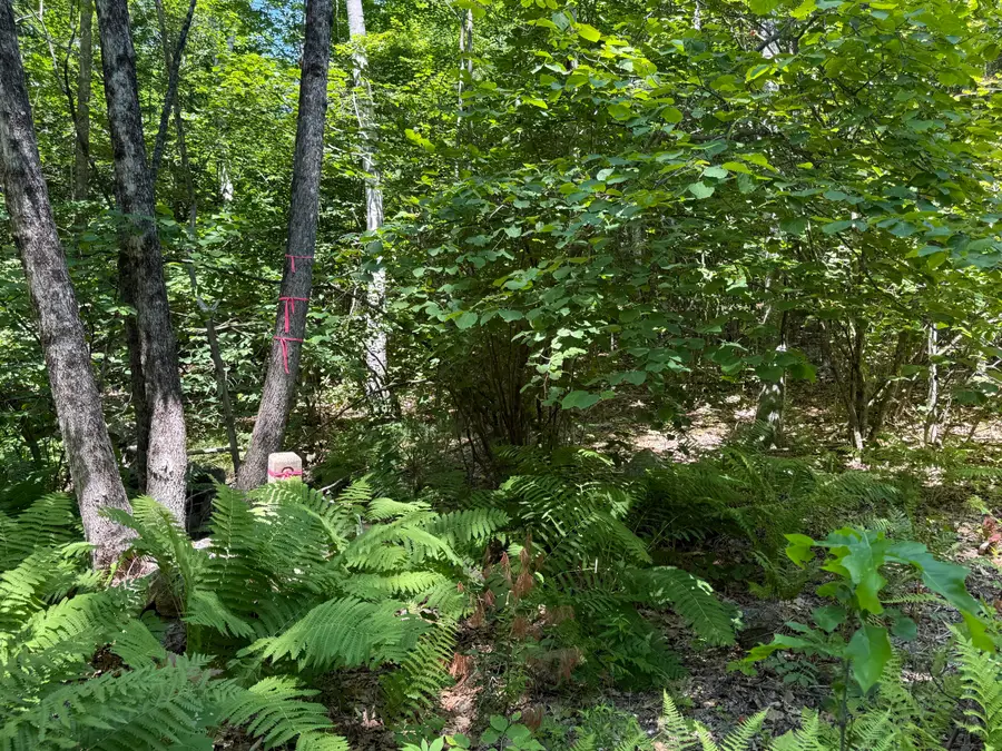 #00 Maplewood Road, West Newfield, ME 04095 - #3