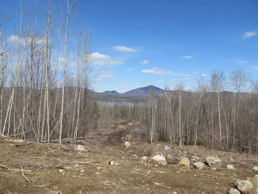 Lot 7 Oak Street, Weld, ME 04285 - #2