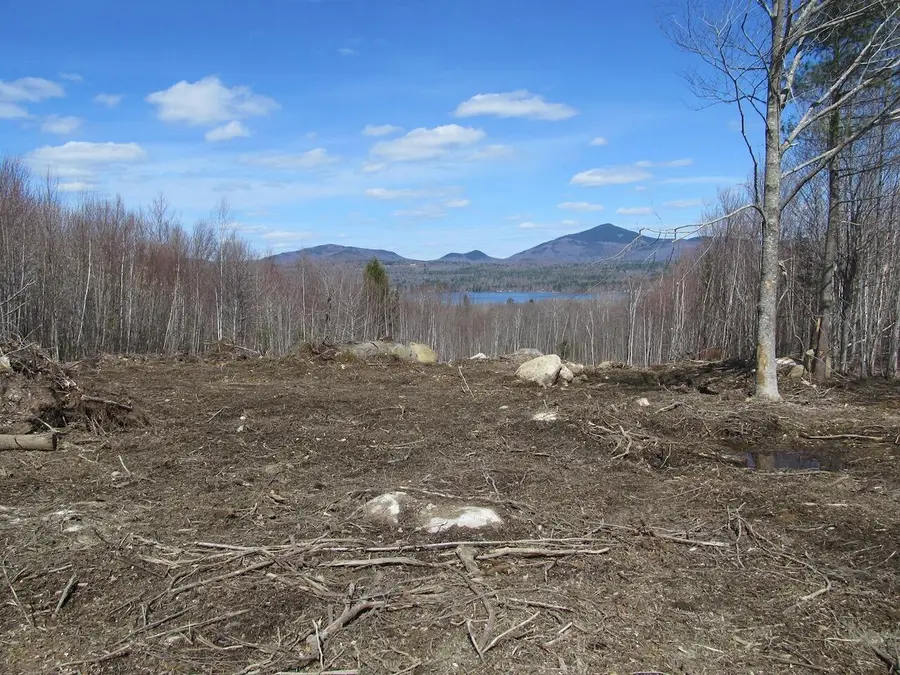 Lot 9 Oak Street, Weld, ME 04285 - #3