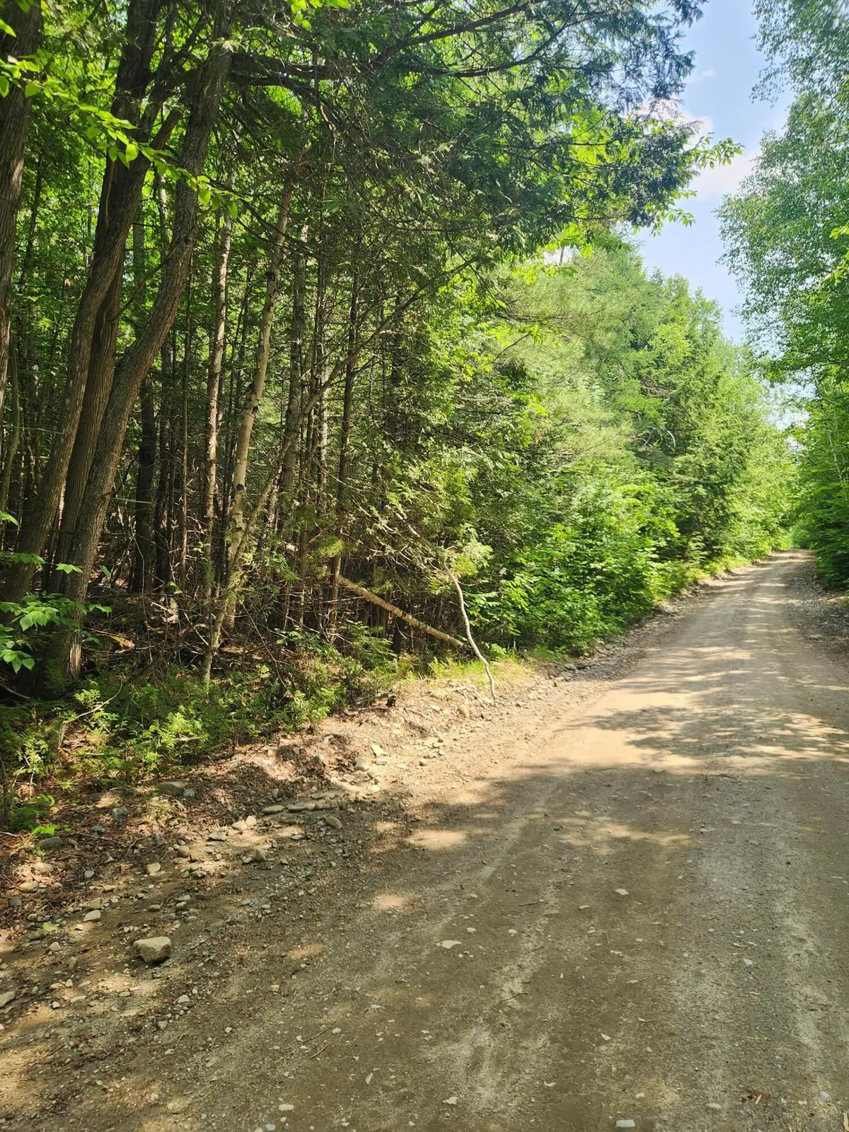 Lot #44 Mill Hill Road, Springfield, ME 04487 - #1