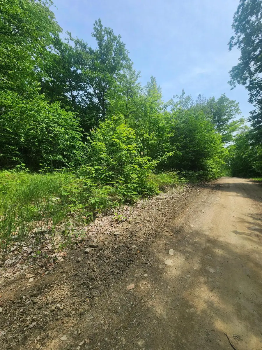 Lot #44 Mill Hill Road, Springfield, ME 04487 - #2