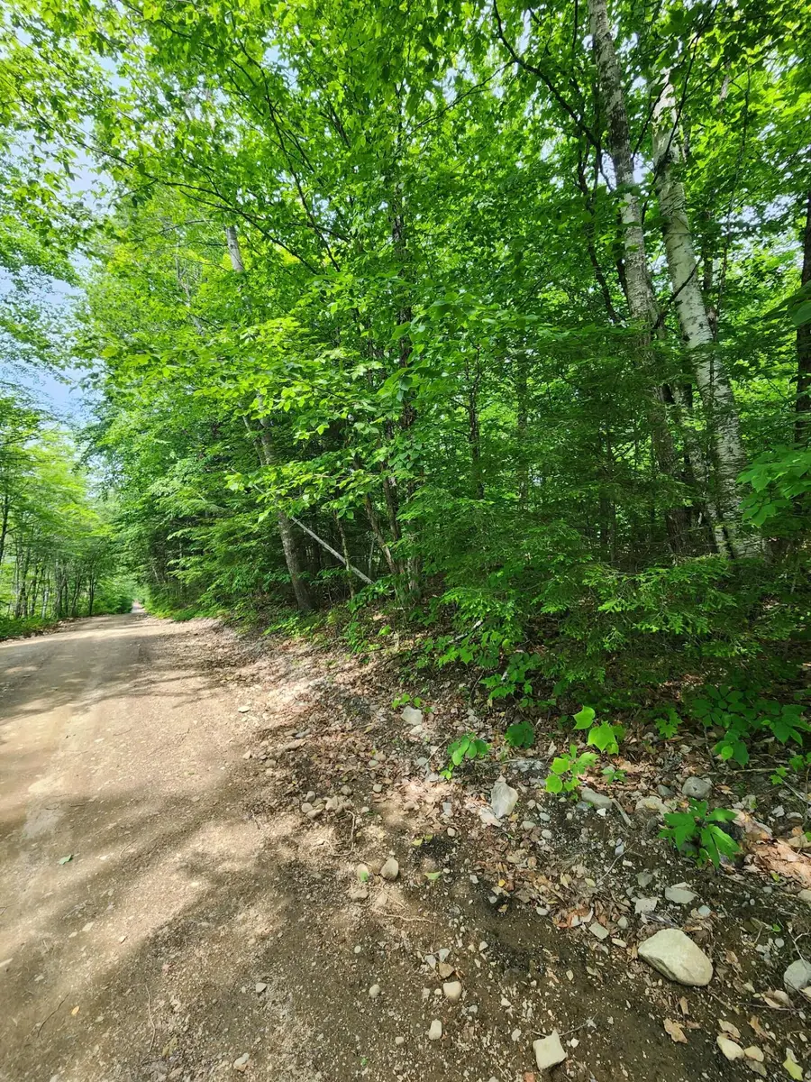 Lot #44 Mill Hill Road, Springfield, ME 04487 - #3