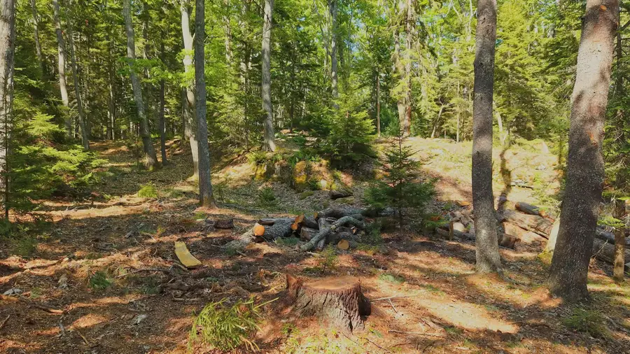 1-A Winnegance Lane, West Bath, ME 04530 - #3