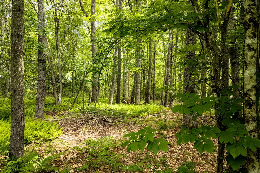 345 Buzzell Hill Road, Hope, ME 04847 - #2