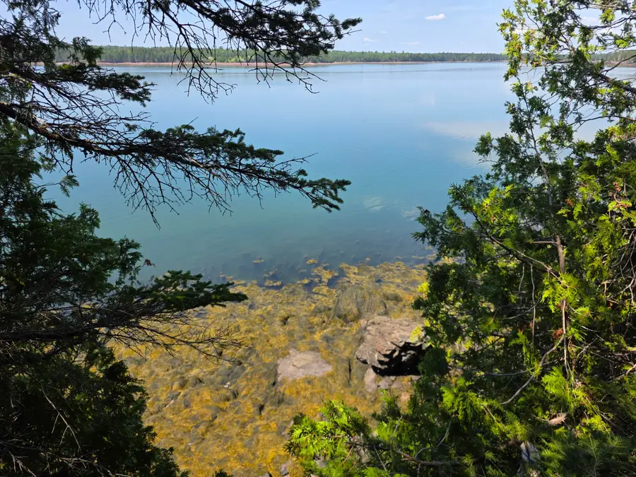 18 Leach Point Road, Perry, ME 04667 - #2