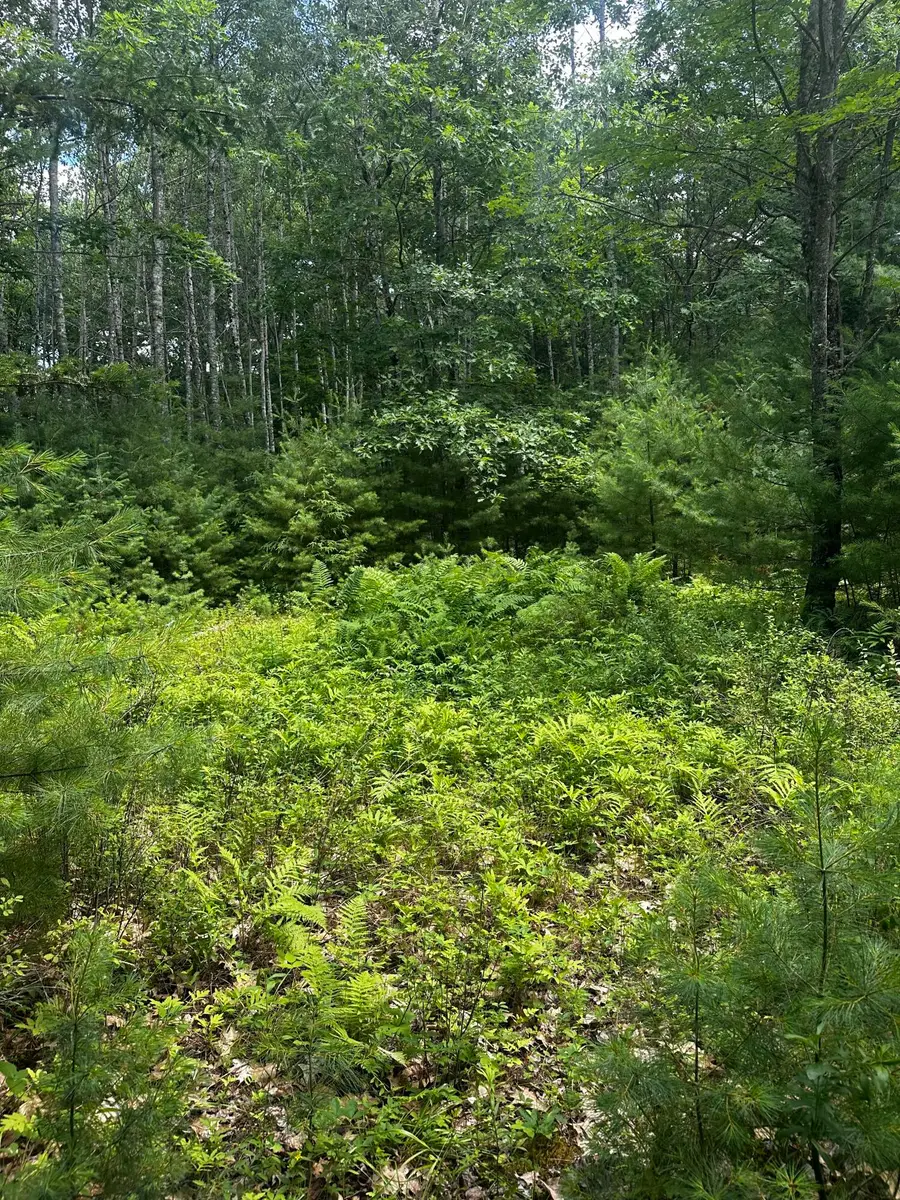 25 Cottage Lane, Orland, ME 04472 - #3
