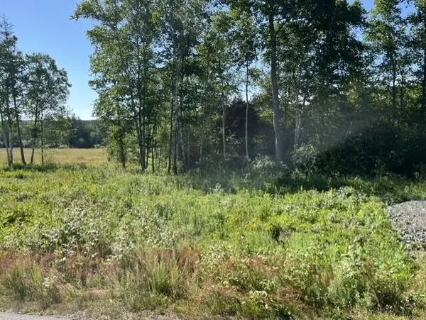 205-009 N North Shore Road, North Haven, ME 04853