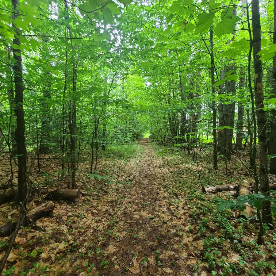 31 Flat Road, Bethel, ME 04217 - #2