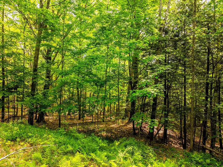 0 Narrows Road, Lincolnville, ME 04849 - #2