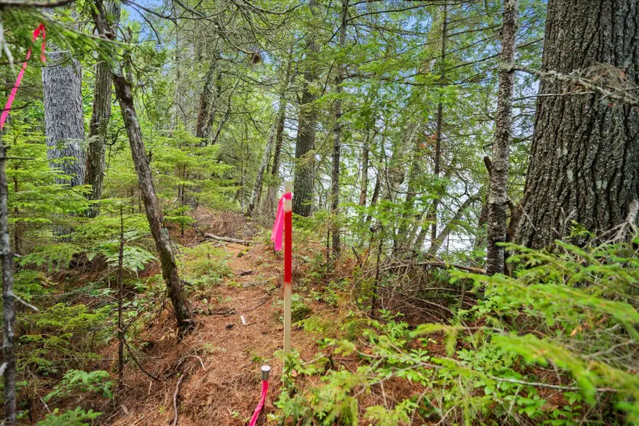 Lot#9A Railroad Bed Road, Lake View, ME 04463 - #2