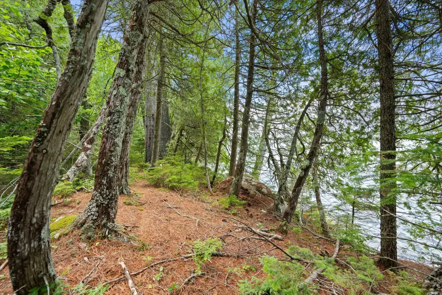 Lot#9A Railroad Bed Road, Lake View, ME 04463 - #3
