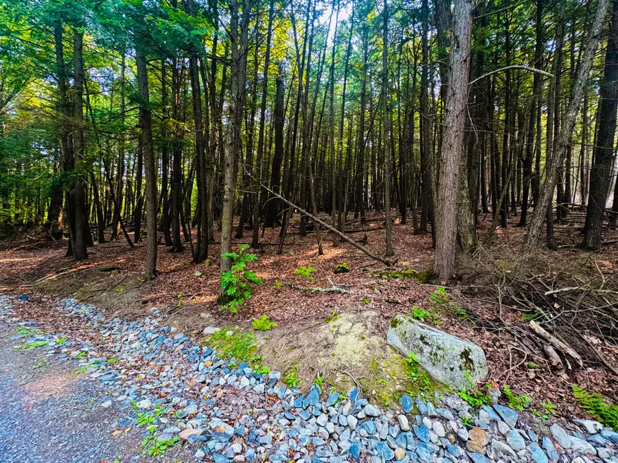 M11 Loon Lane, Saint Albans, ME 04971 - #2