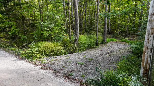 0 Plummer Drive, Raymond, ME 04071