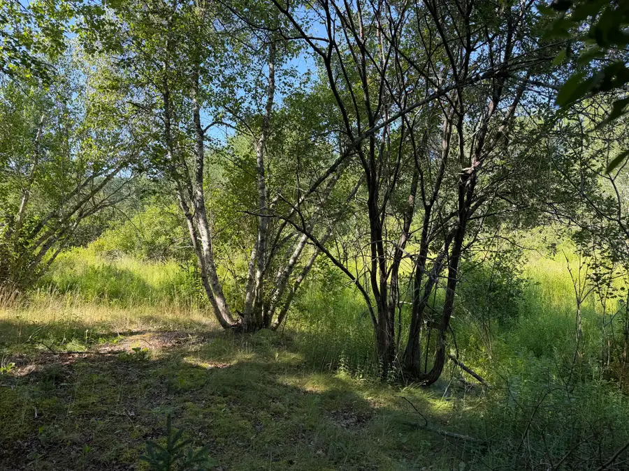 340 Bagaduce Road, Brooksville, ME 04617 - #2