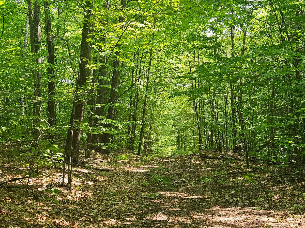Lot 023-A Oak Hill Road, Temple, ME 04984 - #1