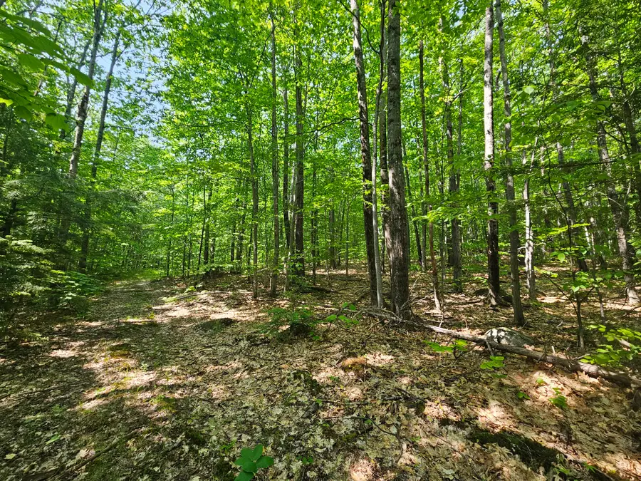 Lot 023-A Oak Hill Road, Temple, ME 04984 - #2