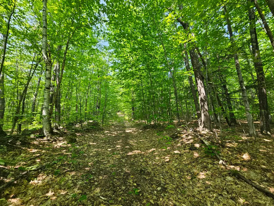 Lot 023-A Oak Hill Road, Temple, ME 04984 - #3