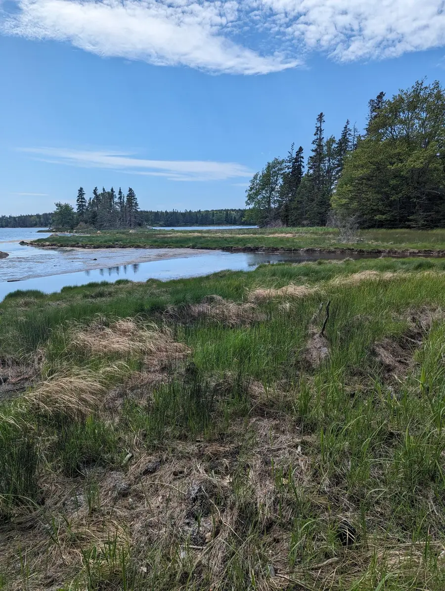 map6 lot37 Back Woods Road, Vinalhaven, ME 04863 - #2