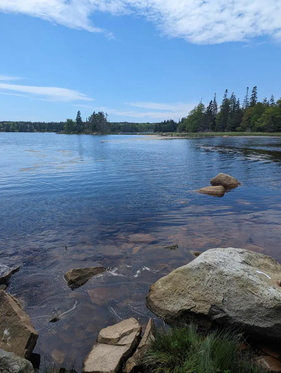 map6 lot37 Back Woods Road, Vinalhaven, ME 04863 - #3