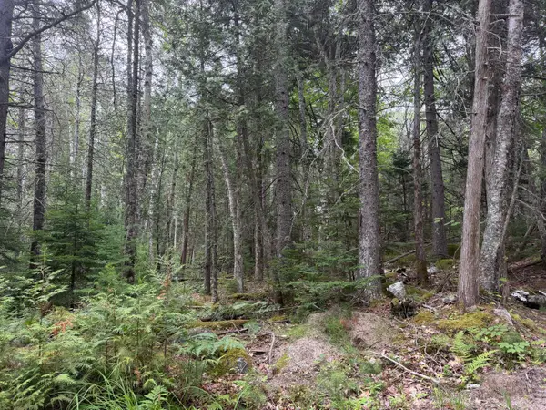 00 Youngs Point Road, Brooksville, ME 04617