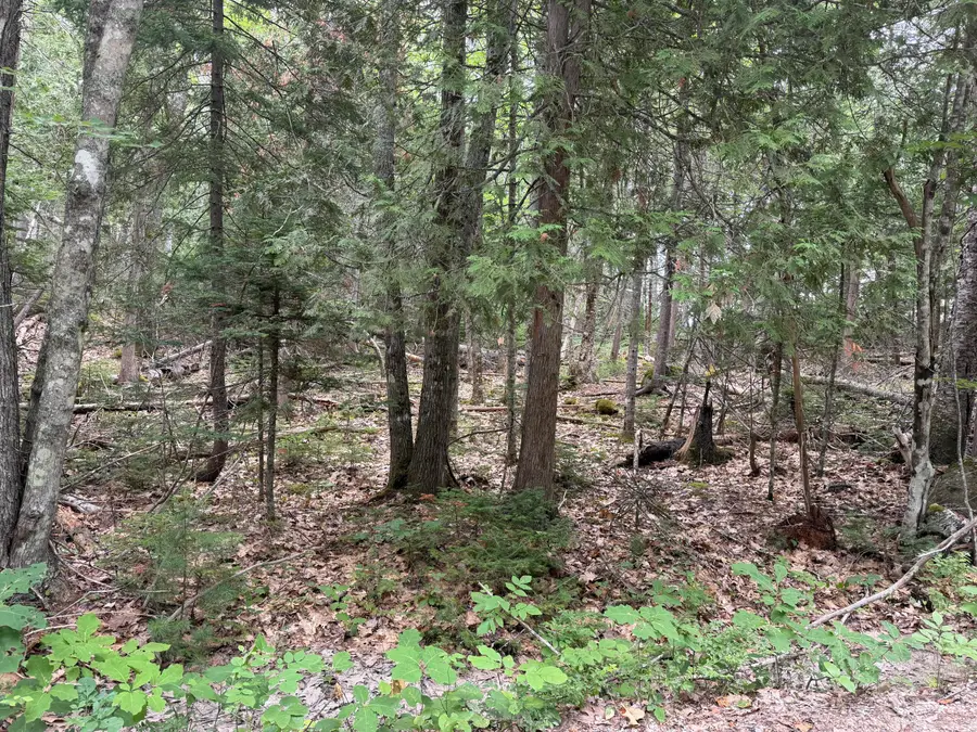 00 Youngs Point Road, Brooksville, ME 04617 - #2