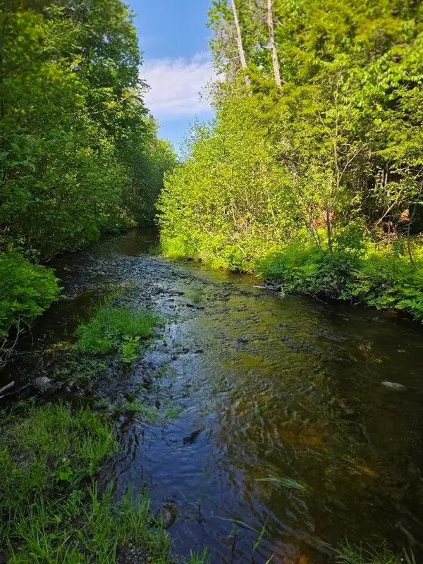 Lot 10 Davis Brook Road, Amity, ME 04471