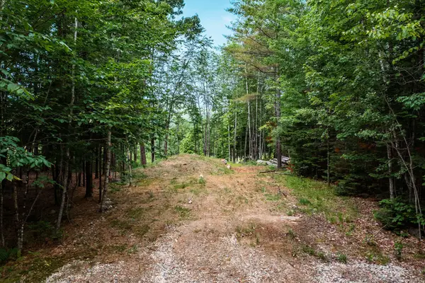 Lot 62 Bird Hill Road, Bethel, ME 04219