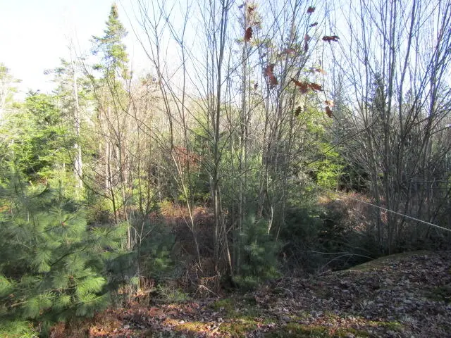 90 Farm Edge Road, Sullivan, ME 04664 - #3