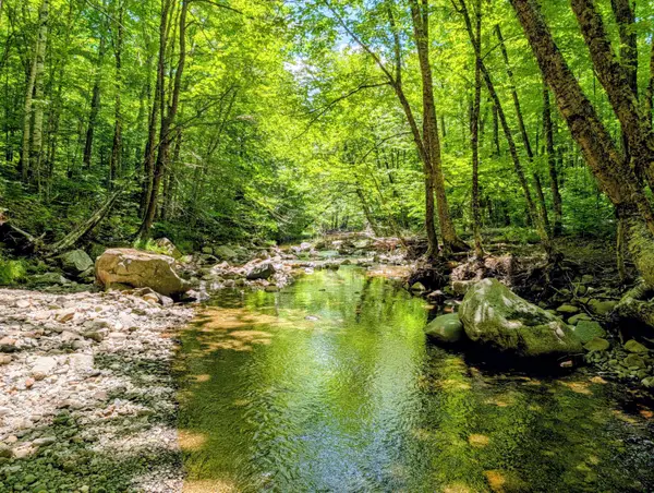 Lot 42 Beech Hill Road, Madrid Twp, ME 04966