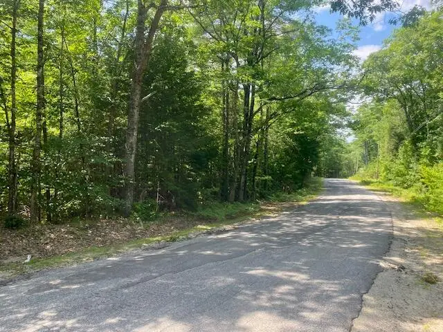 75ac Colcord Pond Road, Porter, ME 04068 - #3