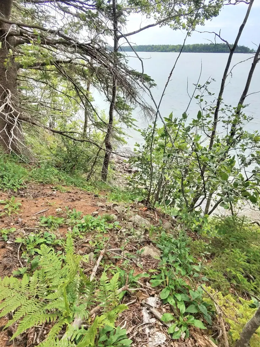 1 Sunset Drive, Eastport, ME 04631 - #2