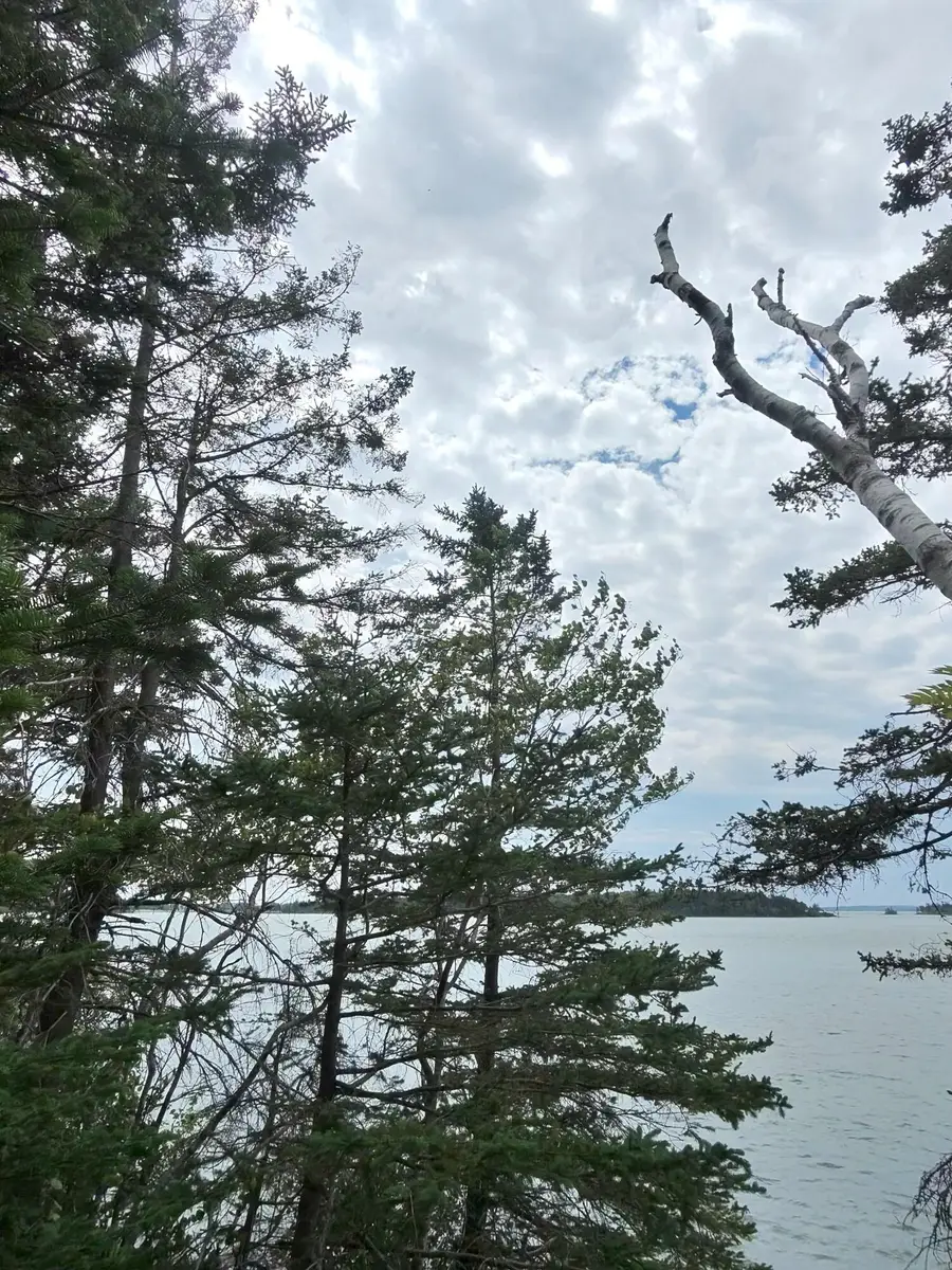 1 Sunset Drive, Eastport, ME 04631 - #3