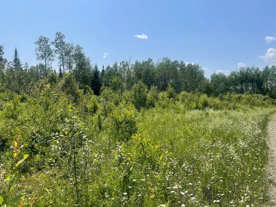 Lot 42 Lombard Road, Caribou, ME 04736 - #3