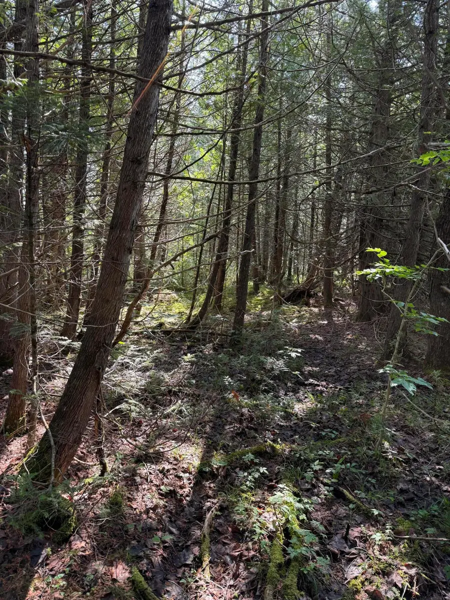 Map8Lot21 Skedgell Road, South Aroostook, ME 04471 - #3