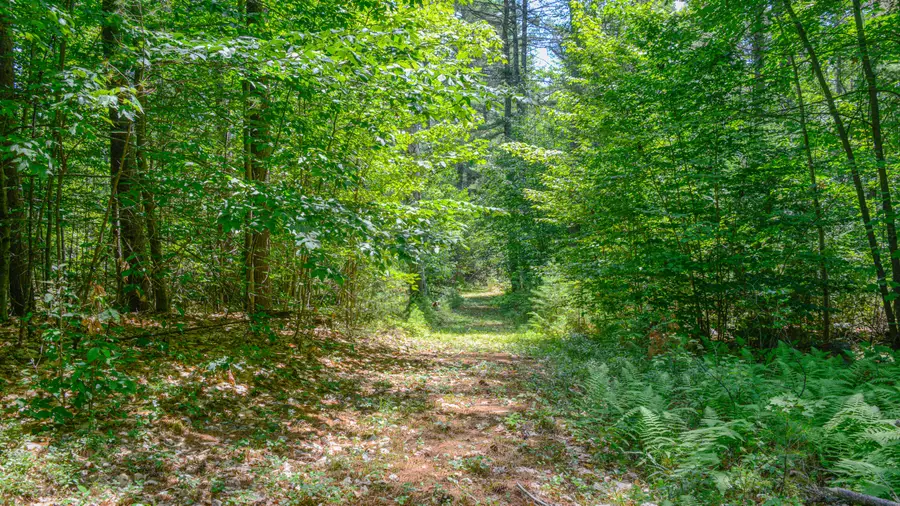 R08-004 Fern Drive #TBD, Lovell, ME 04051 - #2