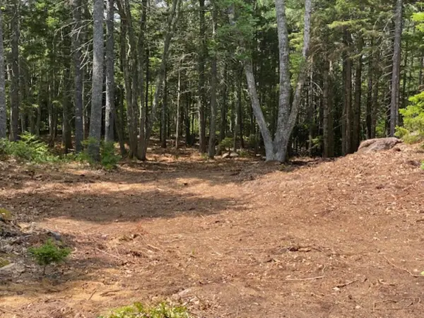 Lot 6 Bunchberry Lane, Bristol, ME 04554