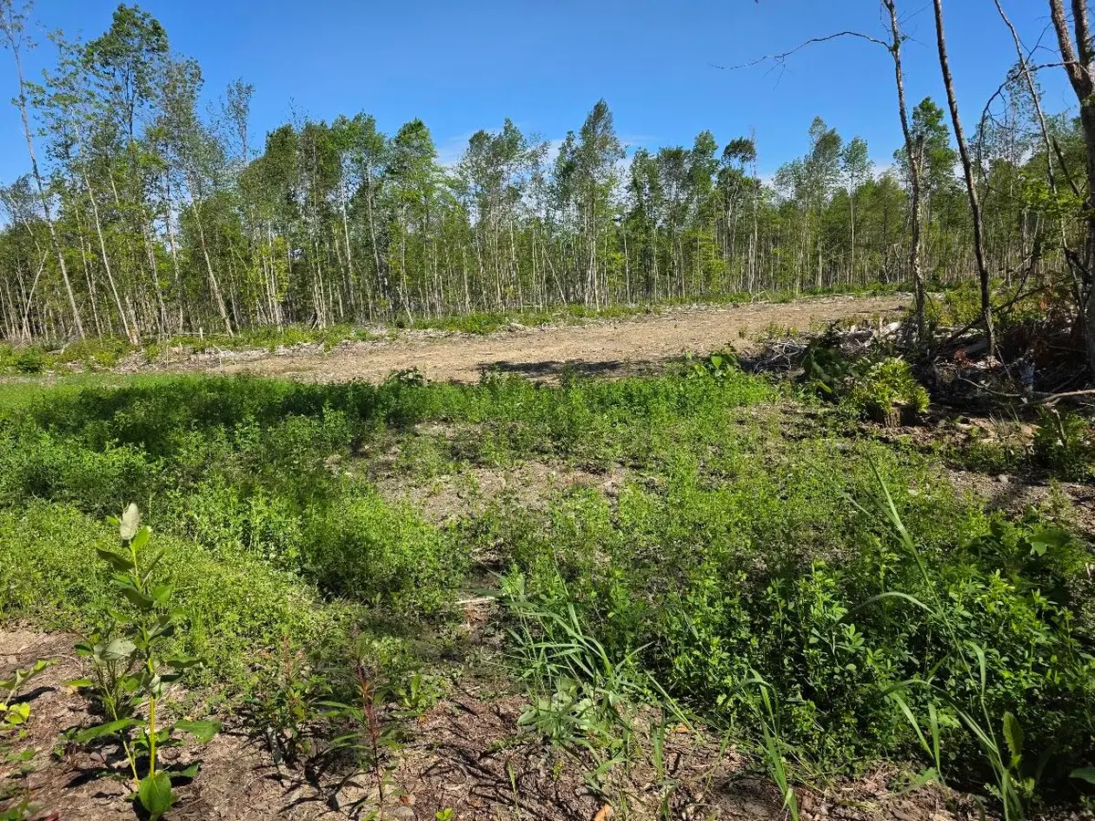 lot 27 Williams Road, Amity, ME 04471 - #1